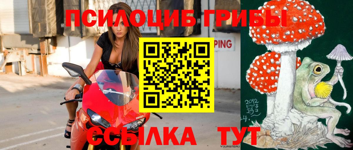 Советская Гавань  хочу наркоту  Вход с VPN  Галлюциногенные грибы мицелий 
